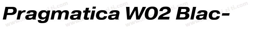 Pragmatica W02 Blac字体转换